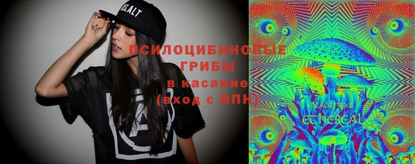 МДПВ Богородск