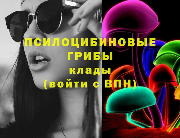МДПВ Богородск
