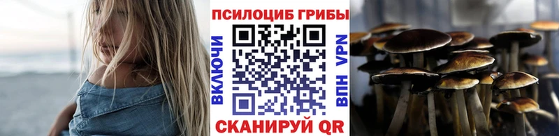 наркотики  Костерёво  Псилоцибиновые грибы GOLDEN TEACHER 